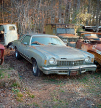 Yury Rachkov - Chevrolet Monte Carlo and the Pines